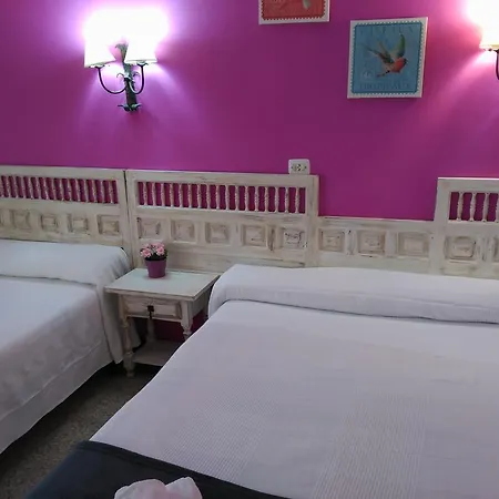 Hotel Miami Tossa *