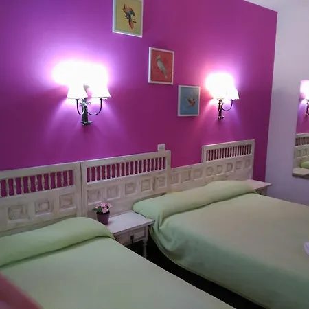 Hotel Miami Tossa