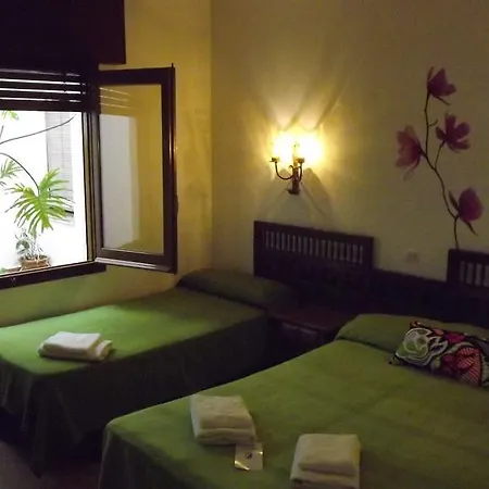 Hotel Miami Tossa *