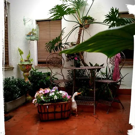 Hotel Miami Tossa *