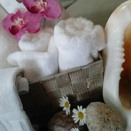 Miami 호텔 또사데마르