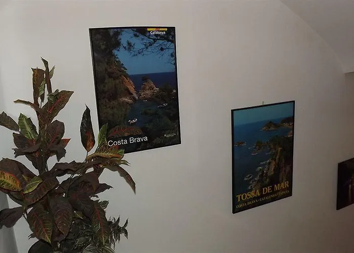 Hotel Miami Tossa de Mar